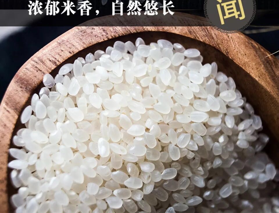 梦幻西游2各等级传说任务